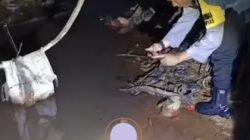 Kasus Pembuangan Bayi Bermotifkan Asmara Terlarang