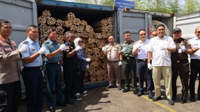 Bea Cukai Kalbagbar Gagalkan Ekspor Ilegal 58 Ton Rotan ke Tiongkok