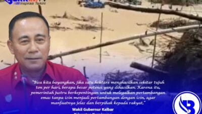 Areal PETI di Kalbar Capai 70.600 Ha, Bisa Hasilkan 7 Ton Emas per Hari