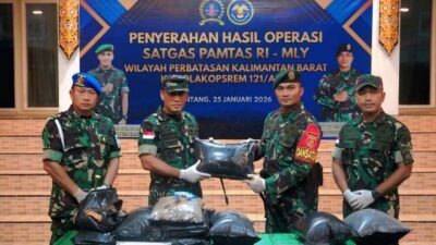 Satgas Pamtas Gagalkan Penyelundupan 12,290 Kg Ganja di Sambas