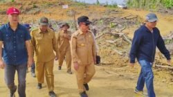 PT CUT Tanam Sawit di Hutan Primer, Ontot: Ini Peringatan, Jangan Main Kucing-kucingan