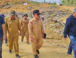 PT CUT Tanam Sawit di Hutan Primer, Ontot: Ini Peringatan, Jangan Main Kucing-kucingan