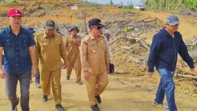 PT CUT Tanam Sawit di Hutan Primer, Ontot: Ini Peringatan, Jangan Main Kucing-kucingan
