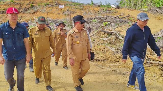 PT CUT Tanam Sawit di Hutan Primer, Ontot: Ini Peringatan, Jangan Main Kucing-kucingan