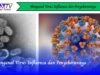 Mengenal Virus Influenza dan Penyebarannya