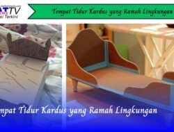 Tempat Tidur Kardus yang Ramah Lingkungan
