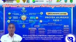 Hilirisasi Ternak Ayam Terintegrasi Targetkan Produksi 1 Juta Ton. Serapan Tenaga Kerja 1,46 Juta