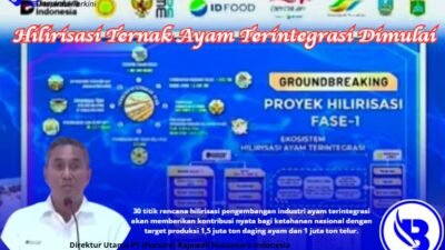 Hilirisasi Ternak Ayam Terintegrasi Targetkan Produksi 1 Juta Ton. Serapan Tenaga Kerja 1,46 Juta