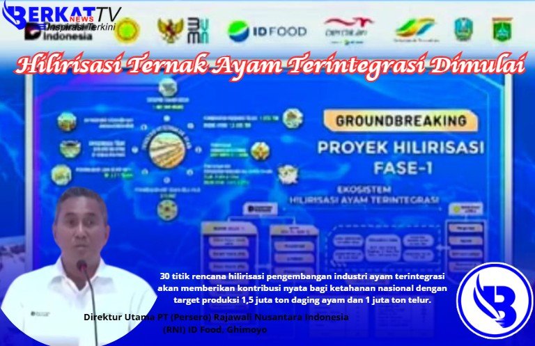 Hilirisasi Ternak Ayam Terintegrasi Targetkan Produksi 1 Juta Ton. Serapan Tenaga Kerja 1,46 Juta