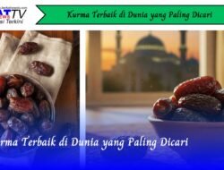 Kurma Terbaik di Dunia yang Paling Dicari
