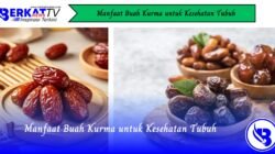 Manfaat Buah Kurma untuk Kesehatan Tubuh
