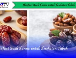 Manfaat Buah Kurma untuk Kesehatan Tubuh