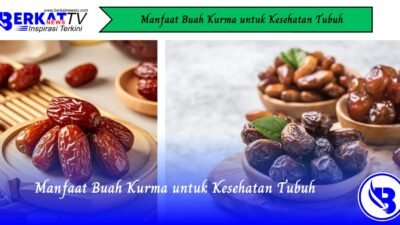 Manfaat Buah Kurma untuk Kesehatan Tubuh