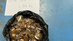 Pedagang Sisik Trenggiling Dari Jatim Ditangkap di Sintang. Terancam 15 Tahun Penjara dan Denda Rp30 Miliar