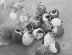 Kepsek Panggil SPPG Sajikan Telur Busuk MBG