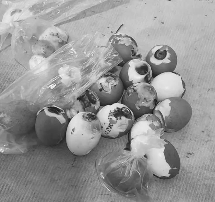 Kepsek Panggil SPPG Sajikan Telur Busuk MBG