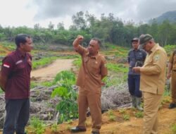 PT. CUT Tepati Janji Tanam Kembali Pohon