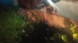 Pemotor Tewas Saat Terjun ke Parit