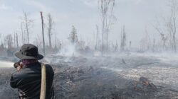 Karhutla Hanguskan Lebih 30 Hektare Lahan Gambut