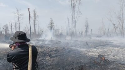 Karhutla Hanguskan Lebih 30 Hektare Lahan Gambut