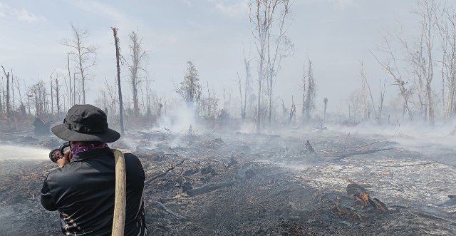 Karhutla Hanguskan Lebih 30 Hektare Lahan Gambut