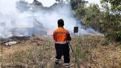 Potensi Karhutla di Kalbar Masih Tinggi, Kuburan Ikut Terbakar