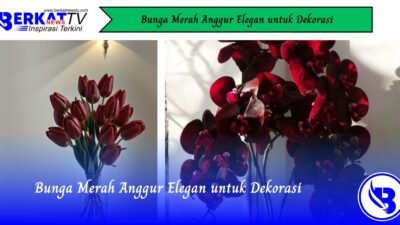 Bunga Merah Anggur Elegan untuk Dekorasi