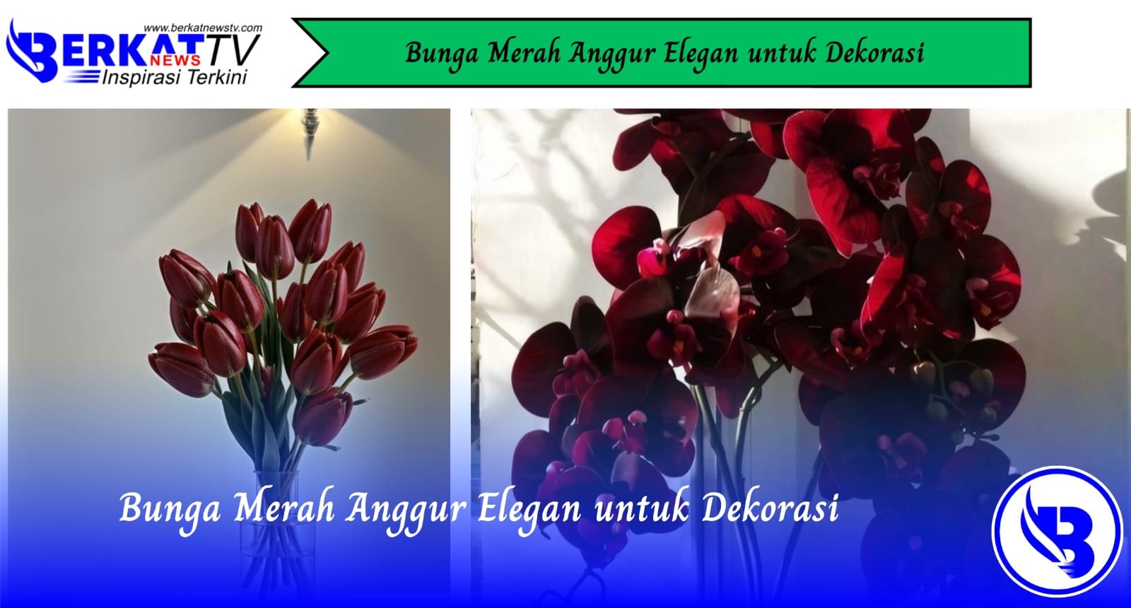 Bunga Merah Anggur Elegan untuk Dekorasi