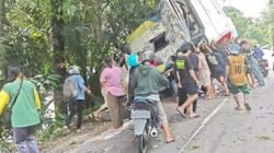 Bus Damri Kecelakaan di Sanggau, Dua Orang Meninggal Dunia