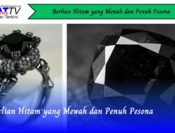 Berlian Hitam yang Mewah dan Penuh Pesona