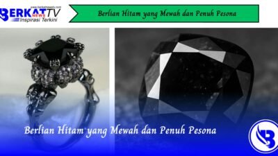Berlian Hitam yang Mewah dan Penuh Pesona