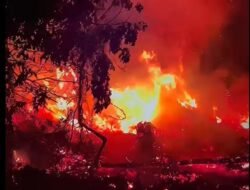 463 Desa Lahan Gambut di Kalbar Resiko Tinggi Karhutla