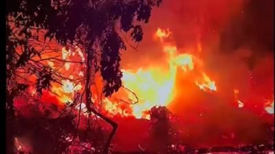 463 Desa Lahan Gambut di Kalbar Resiko Tinggi Karhutla