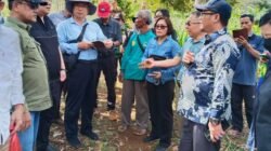 Firman's Grup Dukung Swasembada Bawang Putih Nasional