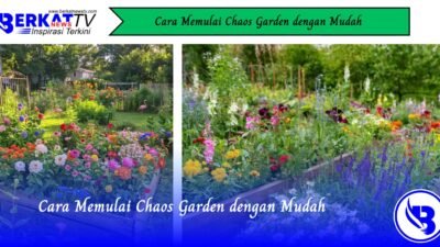 Cara Memulai Chaos Garden dengan Mudah