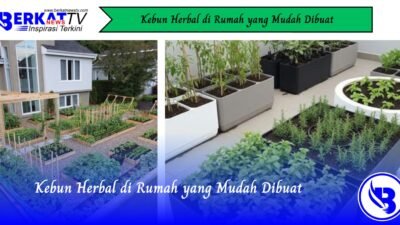 Kebun Herbal di Rumah yang Mudah Dibuat