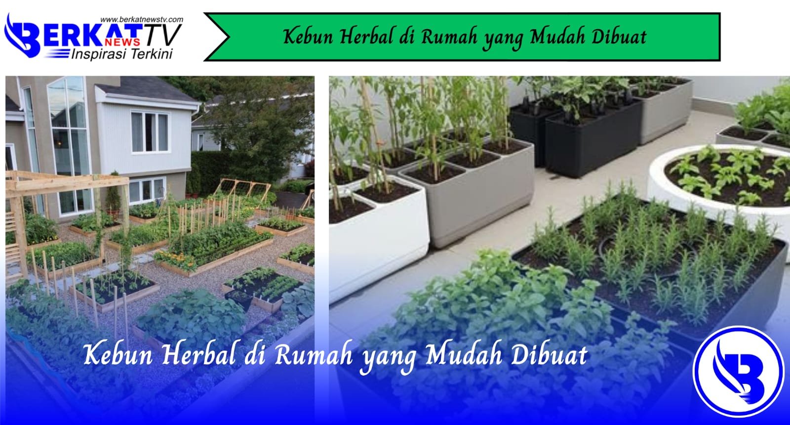 Kebun Herbal di Rumah yang Mudah Dibuat