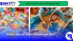 Mainan Sensorik untuk Perkembangan Anak