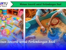 Mainan Sensorik untuk Perkembangan Anak