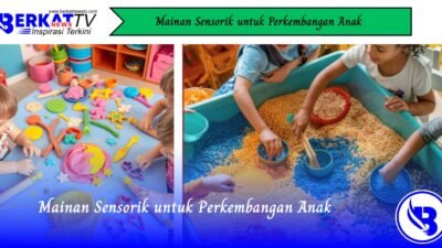 Mainan Sensorik untuk Perkembangan Anak