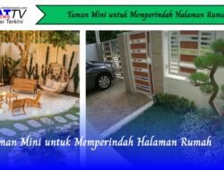 Taman Mini untuk Memperindah Halaman Rumah
