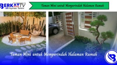 Taman Mini untuk Memperindah Halaman Rumah