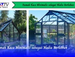 Rumah Kaca Minimalis sebagai Media Berkebun