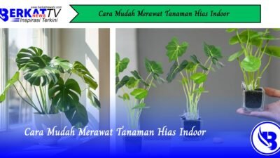 Cara Mudah Merawat Tanaman Hias Indoor