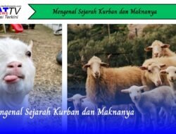 Mengenal Sejarah Kurban dan Maknanya