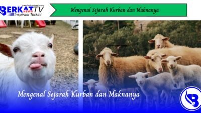 Mengenal Sejarah Kurban dan Maknanya