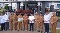 1.000 Orang akan Dapat Sapi Kurban Presiden di Masjid Al-Isra