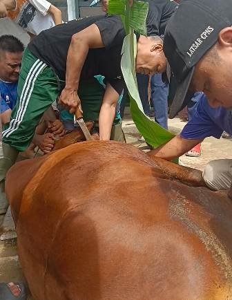 Juleha Harus Kuat Mental Sembelih Hewan Kurban