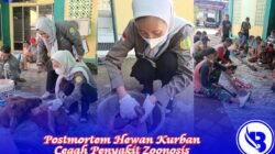 Postmortem Hewan Kurban Cegah Penyakit Zoonosis