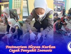 Postmortem Hewan Kurban Cegah Penyakit Zoonosis